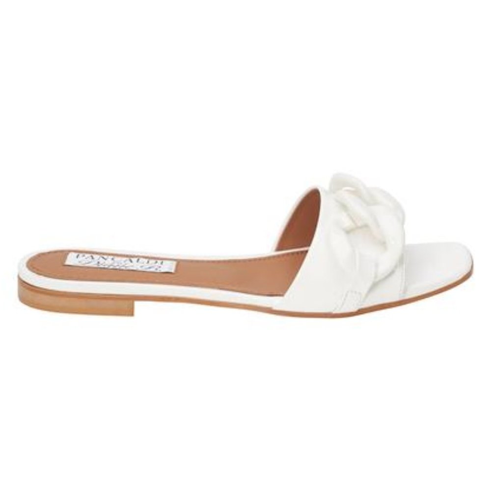 Pancaldi For Diane B "Sharp" Patent Slides - image 1